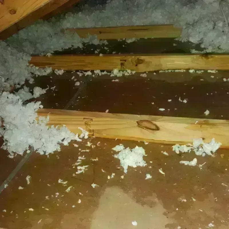 Attic Water Damage in Lampasas County, TX